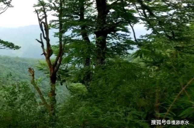 独具匠心,每秒3GB极速传输,这款USB 4硬盘盒应该是你想要的!